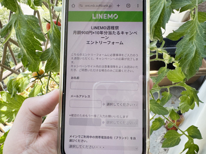 LINEMO 月額900円×10年分当たるキャンペーン