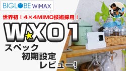 WiMAX WX01