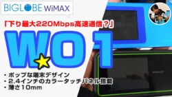 WiMAX W01