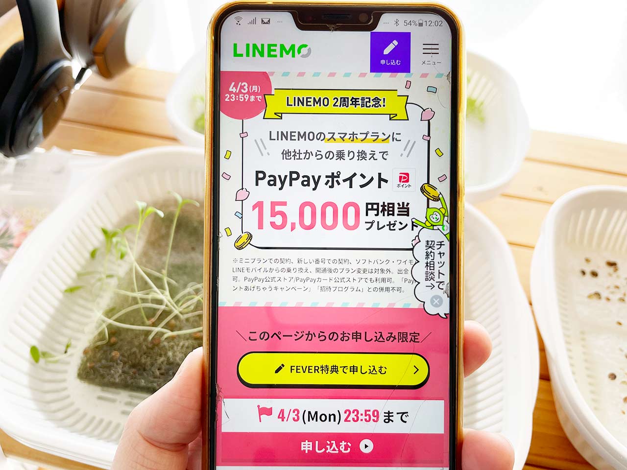 LINEMO キャンペーン